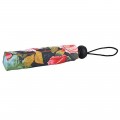 Von Lilienfeld Taschenschirm 'Rosengarten'