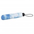 Von Lilienfeld Taschenschirm 'Hamburger Himmel'